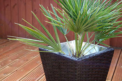 garden furniture set